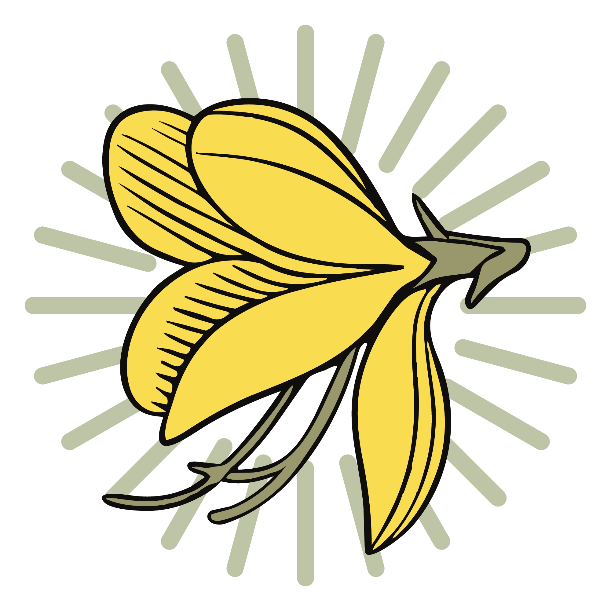 Petaliginestra