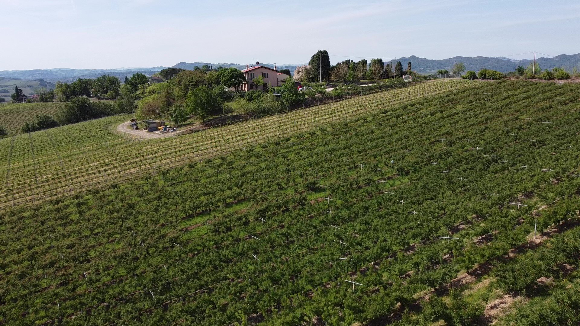 Panoramica 2