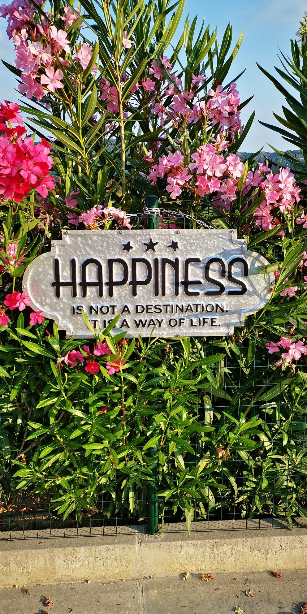 Img 20190629 065441 Resized 20260206 031925748