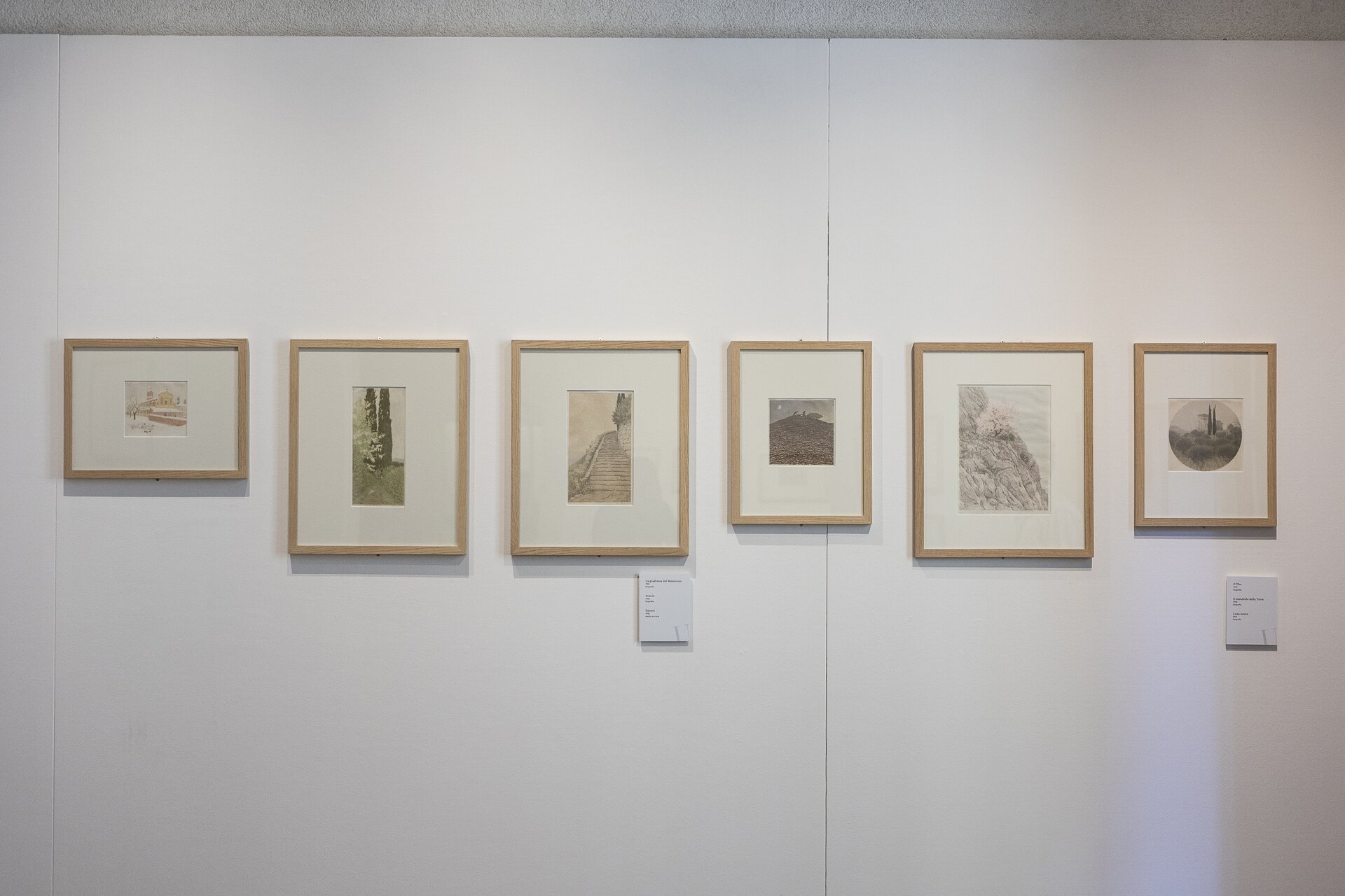 Museo Civico Giuseppe Ugonia
