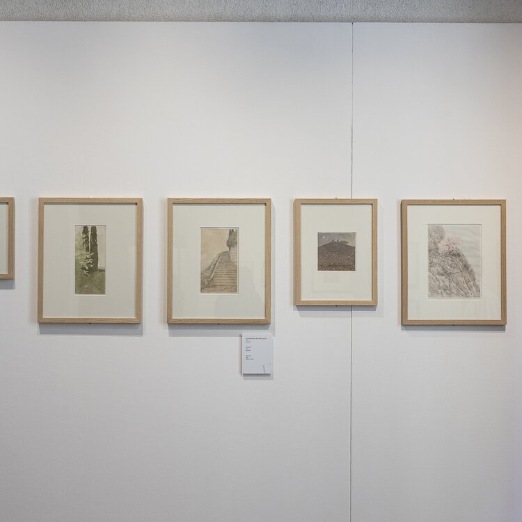 Museo Civico Giuseppe Ugonia