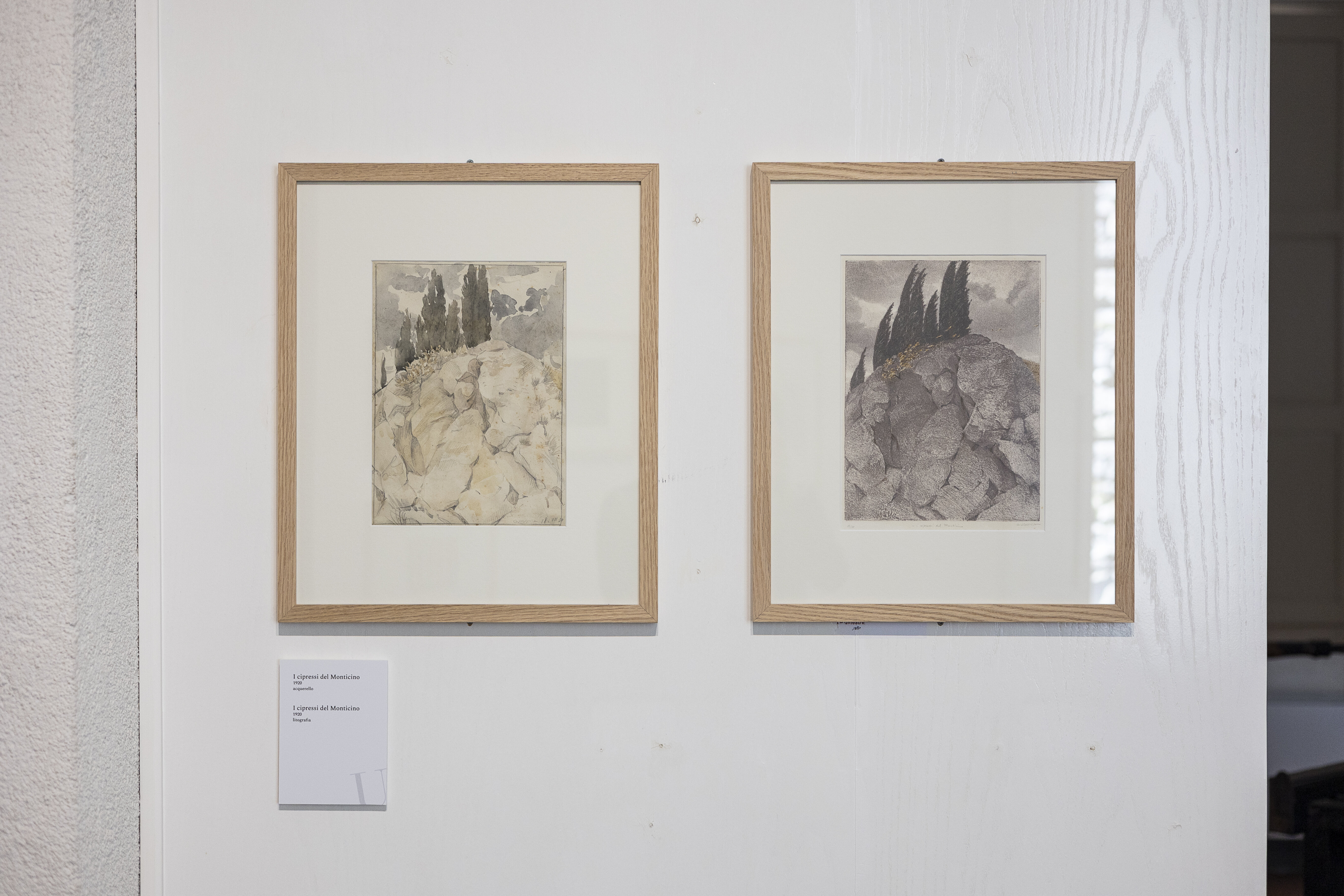 Museocivicougonia 3