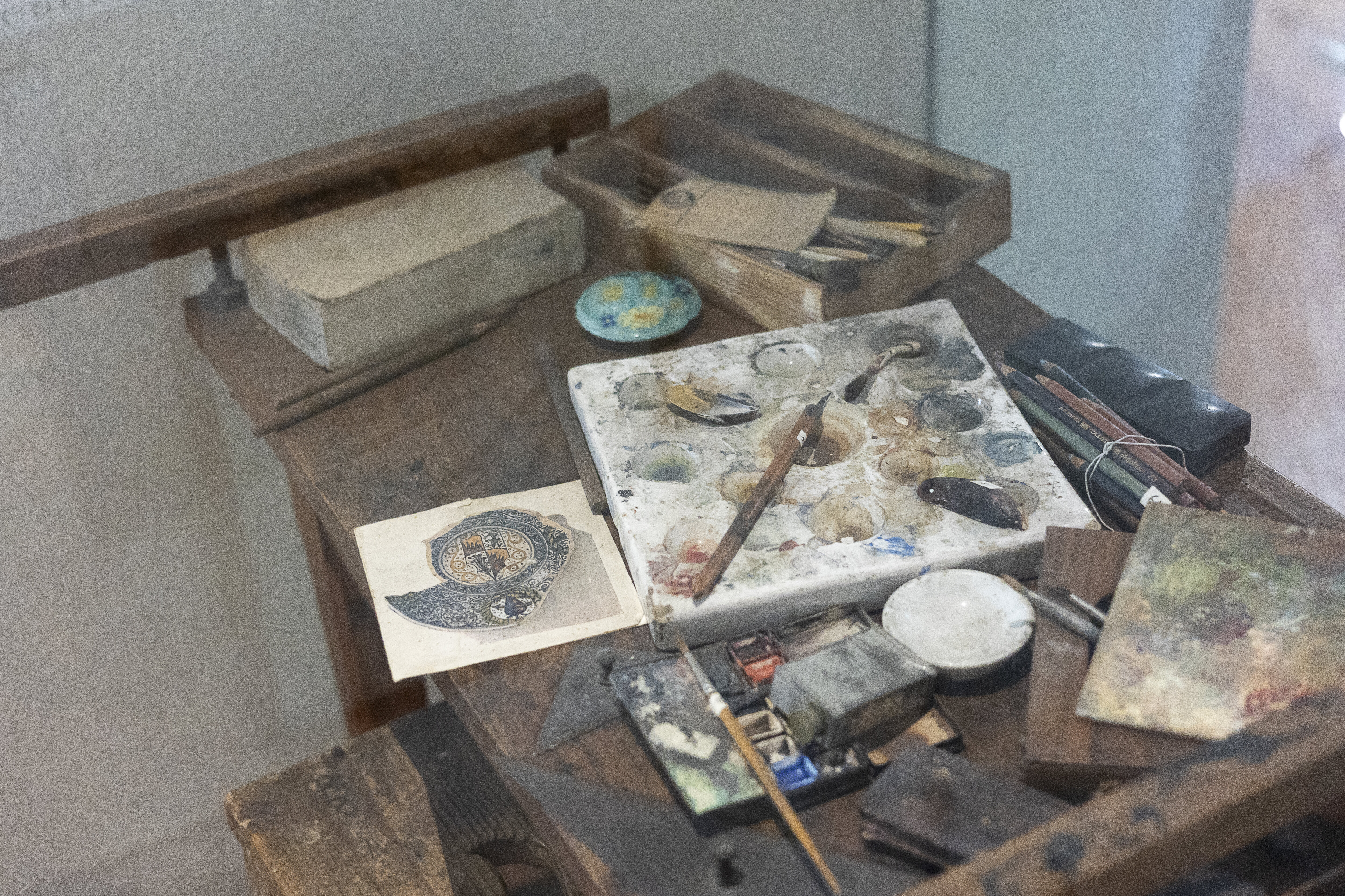 Museocivicougonia 5