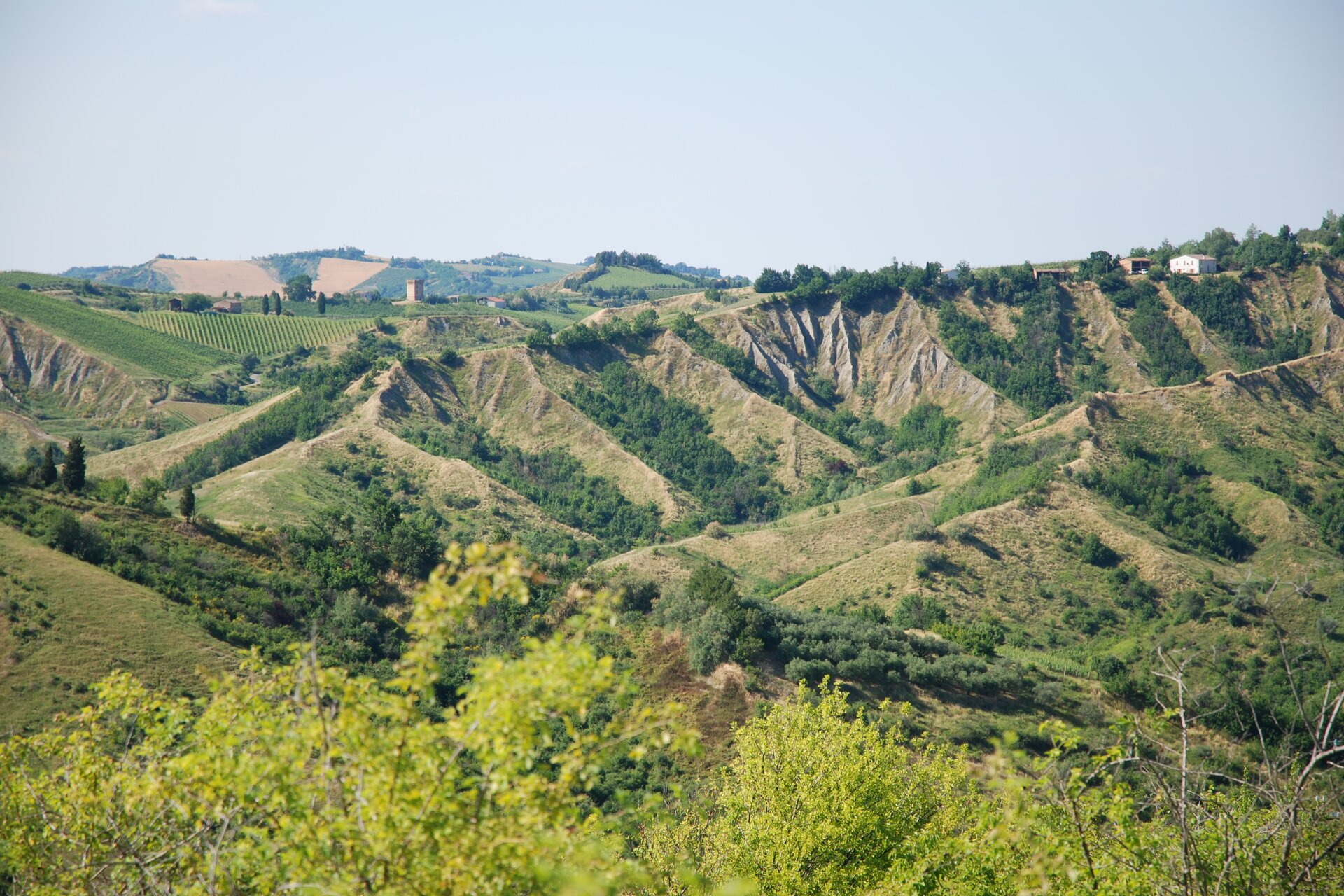 Calanchi Con La Torre Del Marino