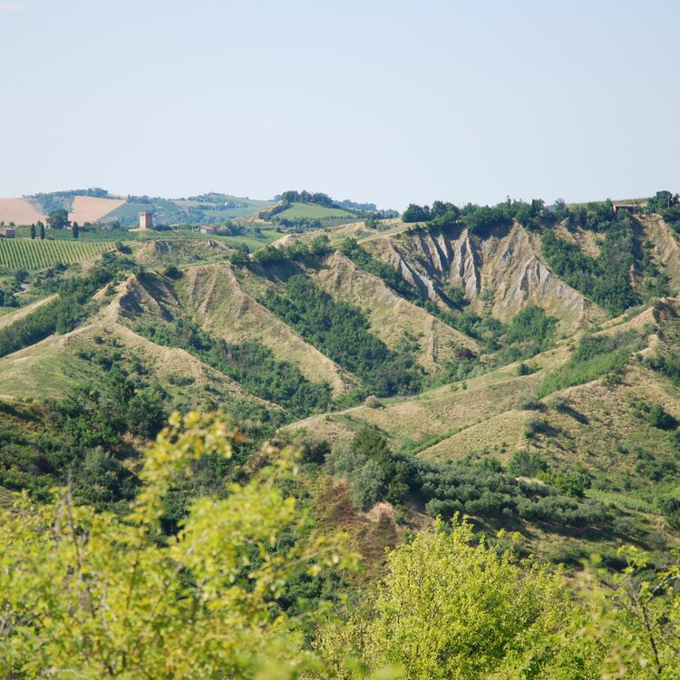 Calanchi Con La Torre Del Marino