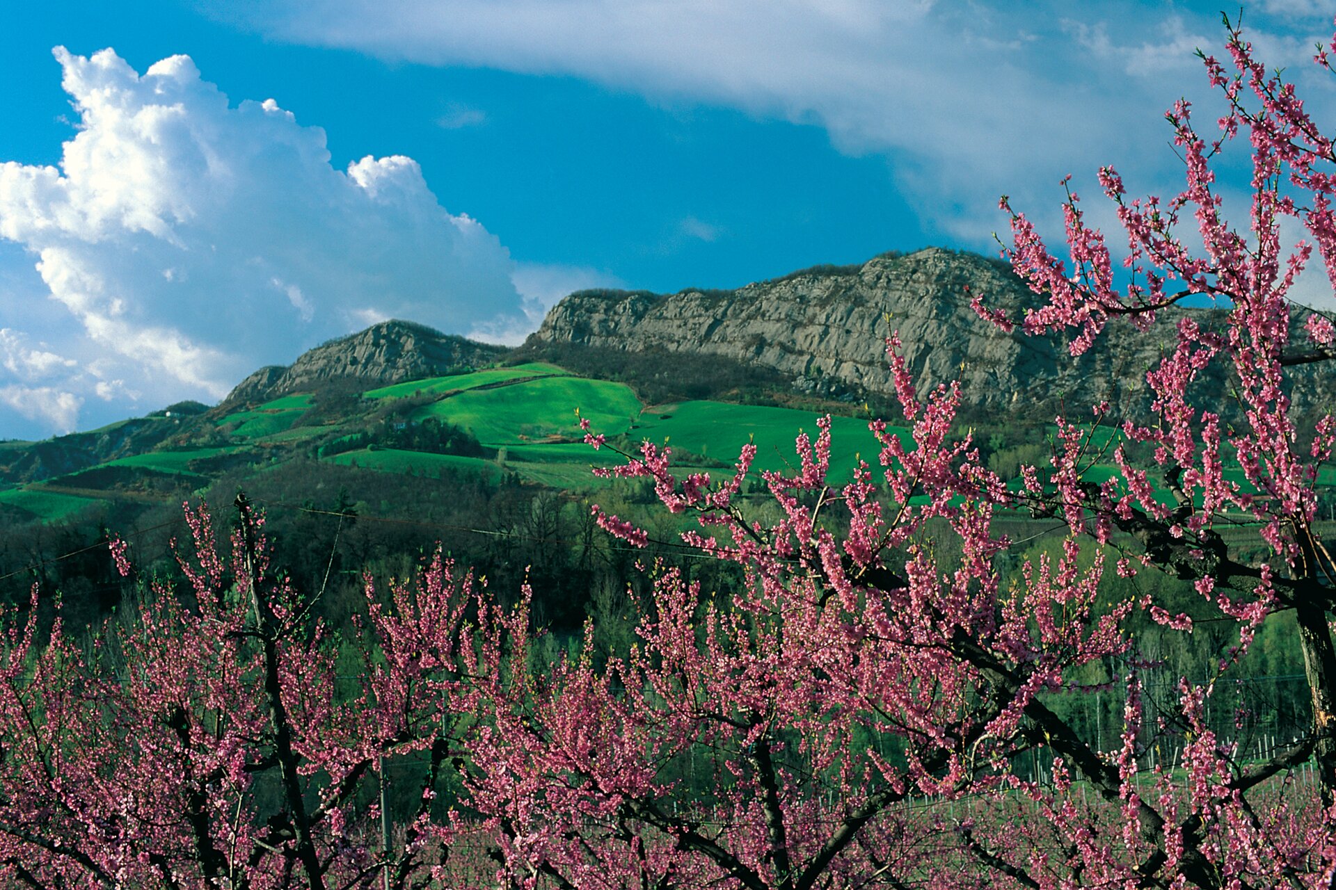 La Vena Del Gesso Romagnola