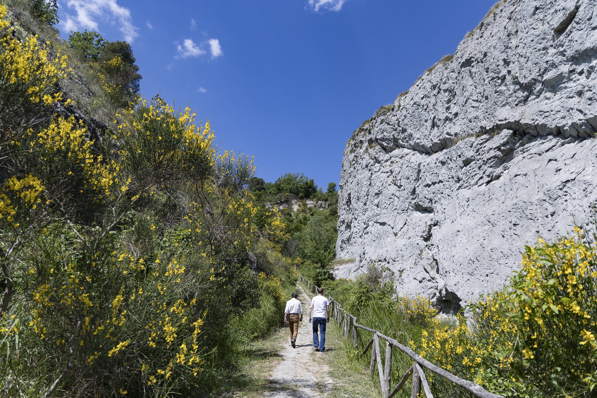 Museo Geologico Del Monticino