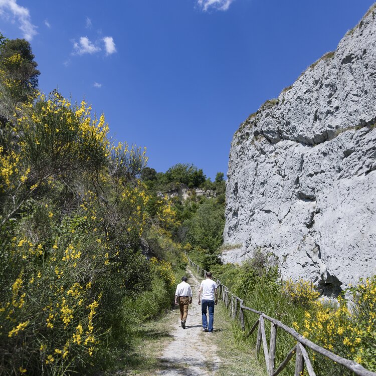 Museo Geologico Del Monticino