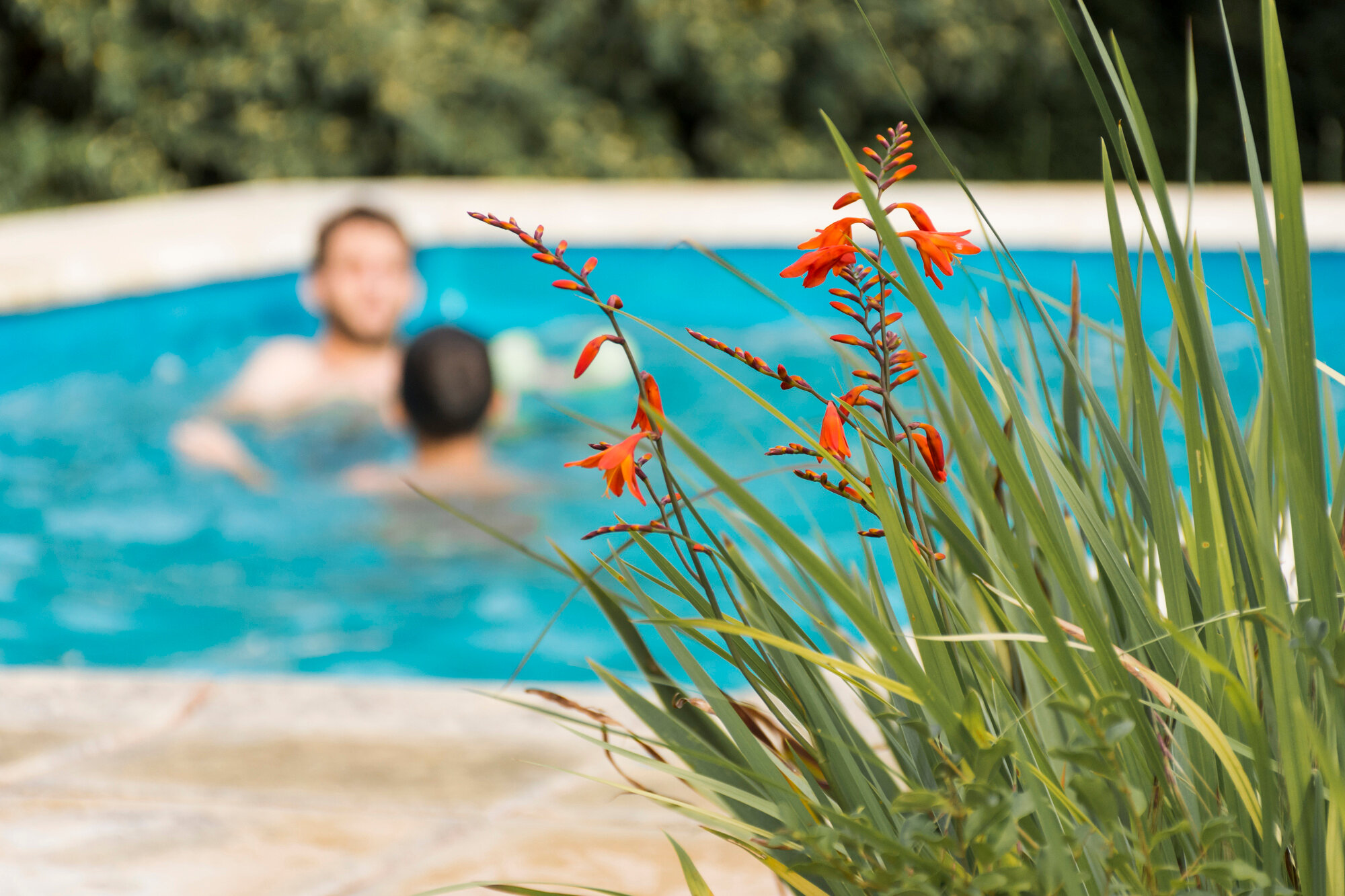 Piscina Fiori Stock