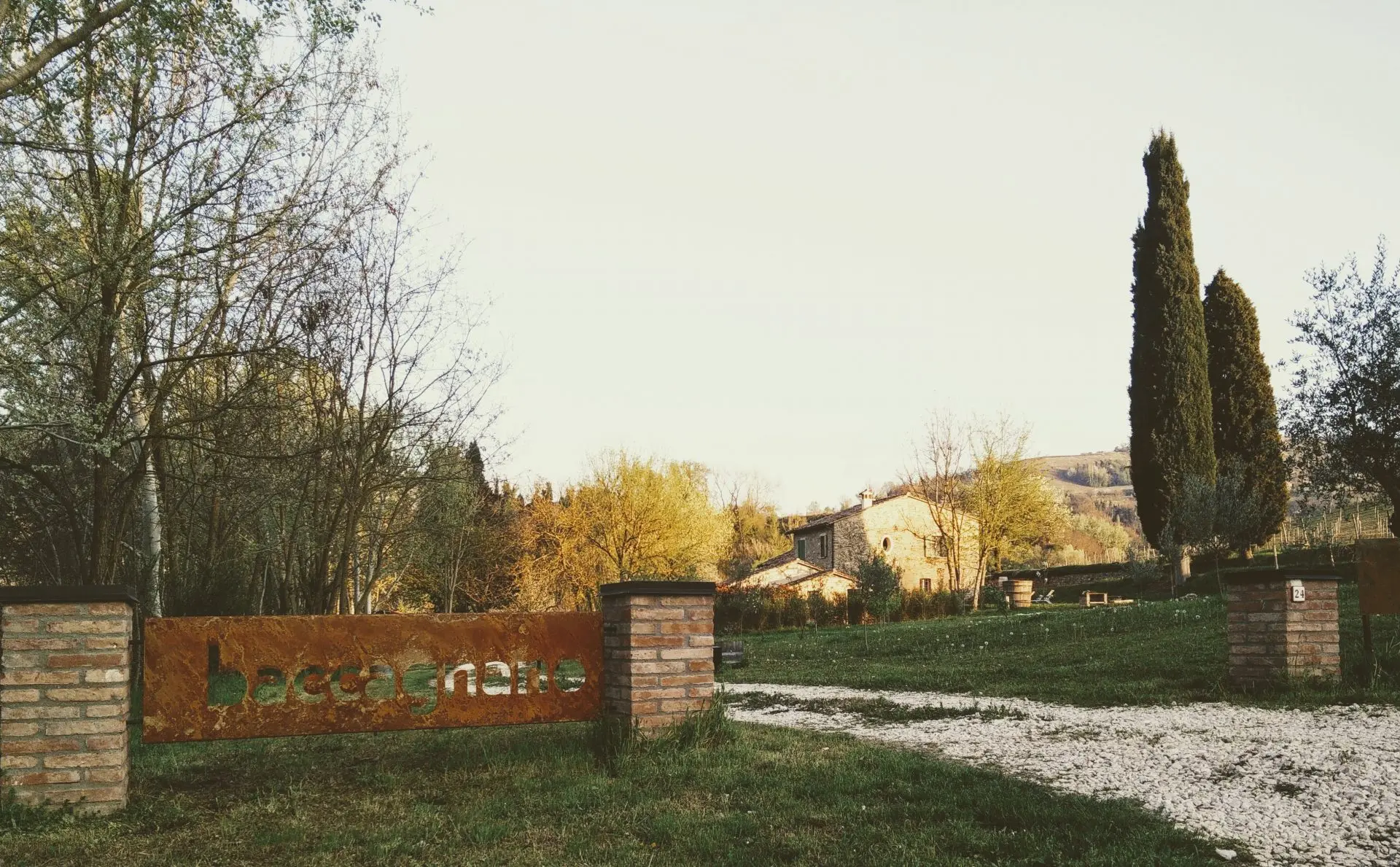 Azienda Agricola Baccagnano