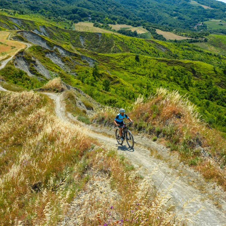 Petali della Ginestra | Monte Mauro - bike | © IF Tourism Company
