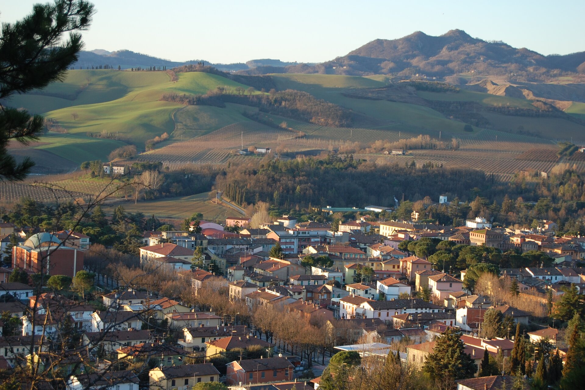 Petali della Ginestra | Laghi Azzurri