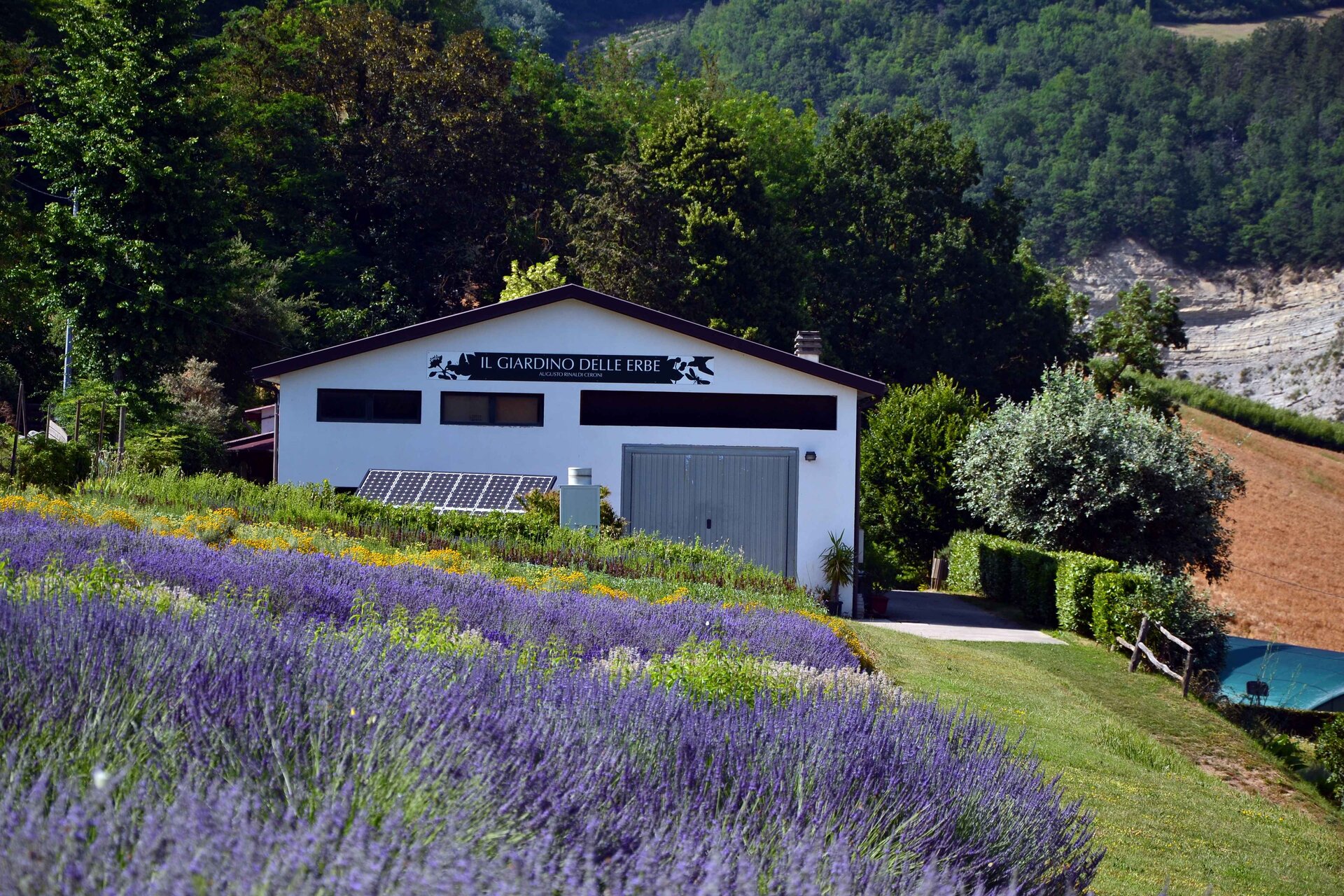 Autumn at the Garden of Herbs: Events Programme (September and October 2026)