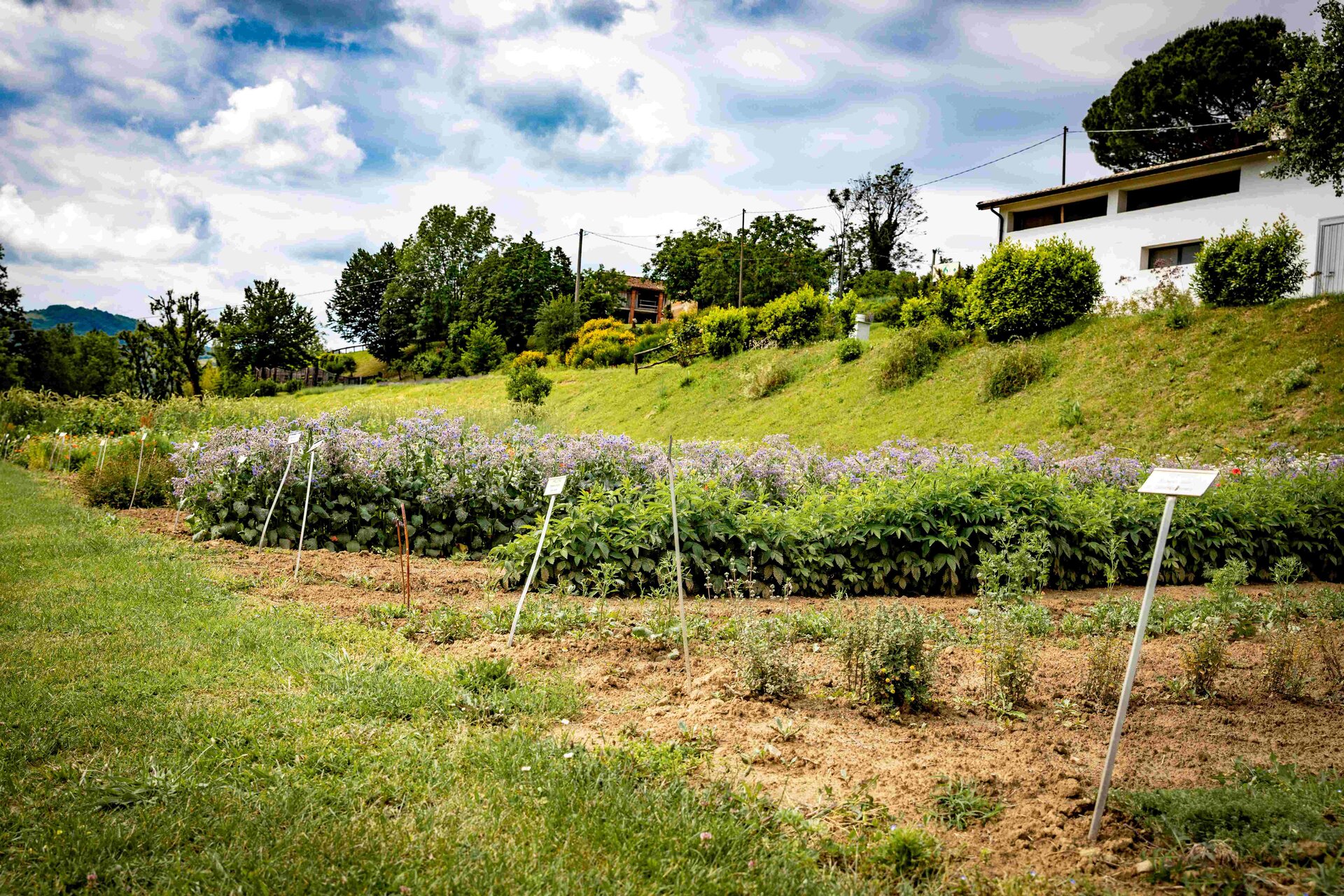 Visita guidata al Giardino delle Erbe