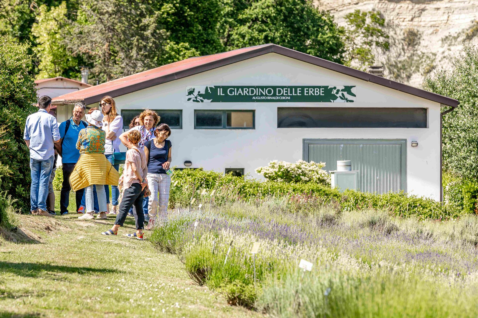 Infusi, tinture e oleoliti - Giardino delle Erbe