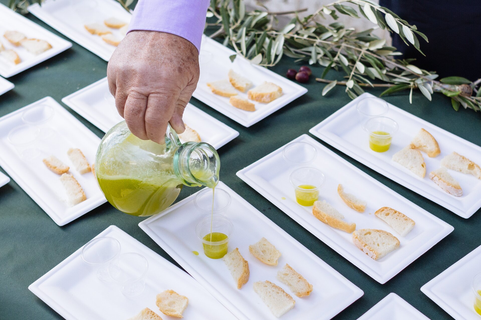 Visita al frantoio e degustazione di olio e prodotti tipici