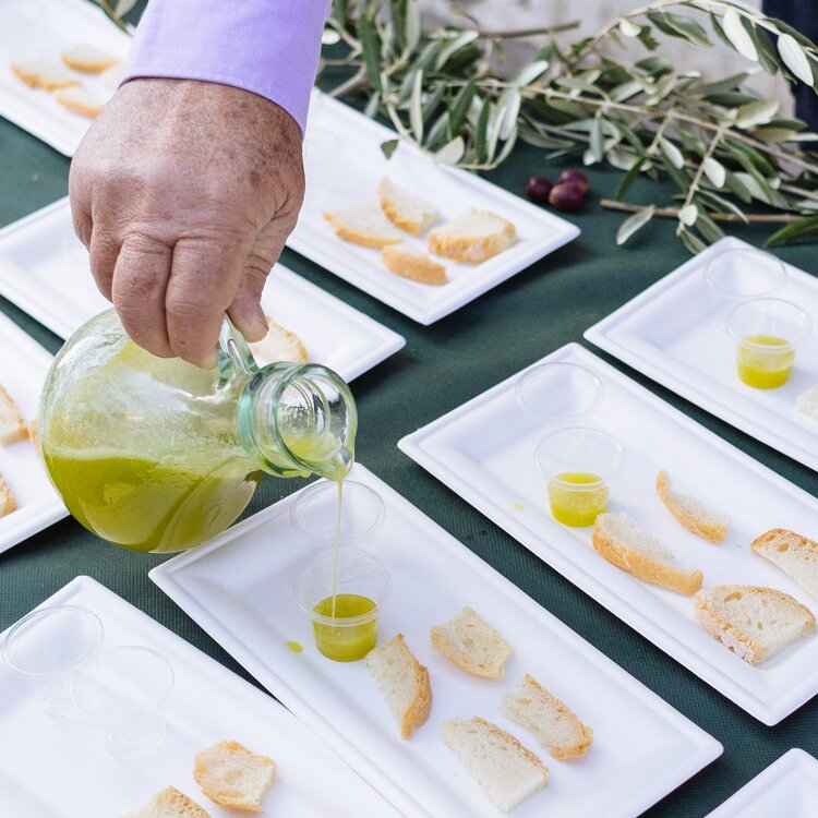 Visita al frantoio e degustazione di olio e prodotti tipici