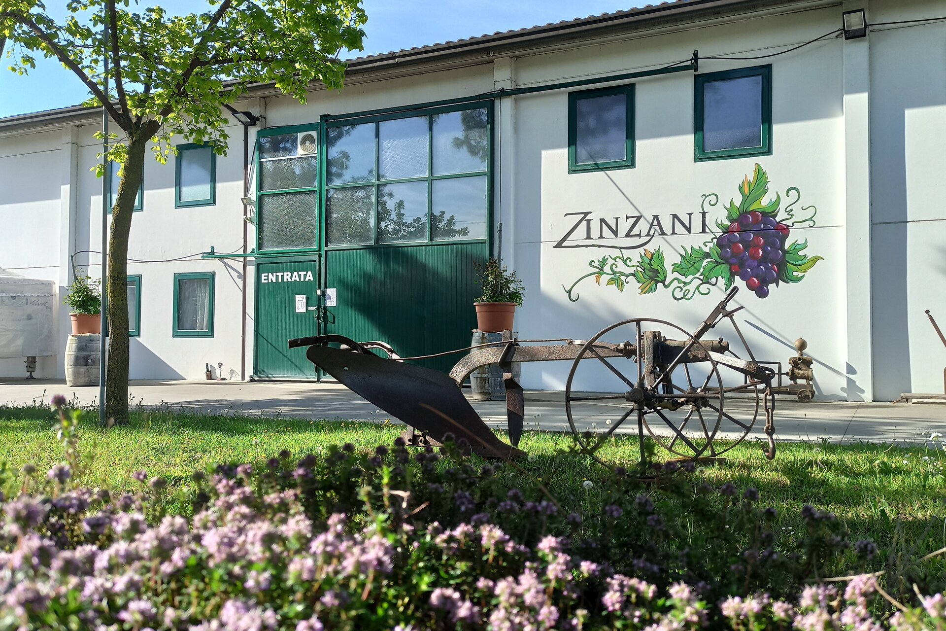 Degustazione vini con il vignaiolo - Zinzani Vini