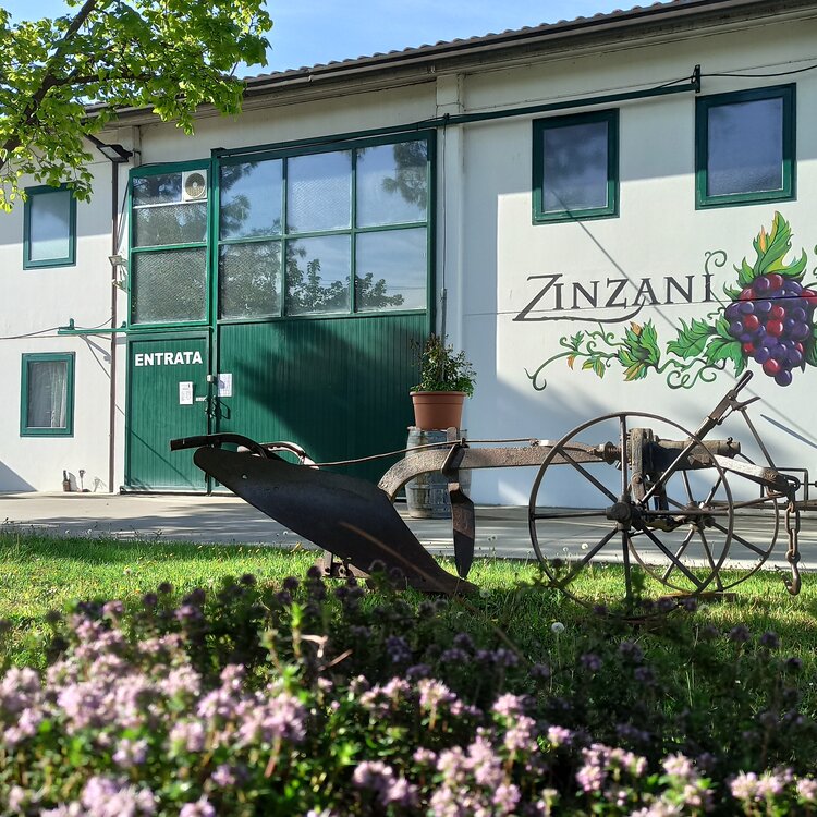 Degustazione vini con il vignaiolo - Zinzani Vini