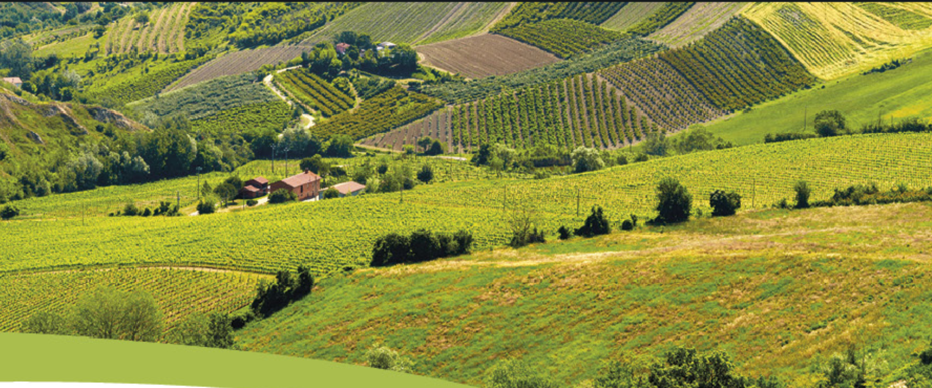 Sentieri & Sapori | Colline di Romagna