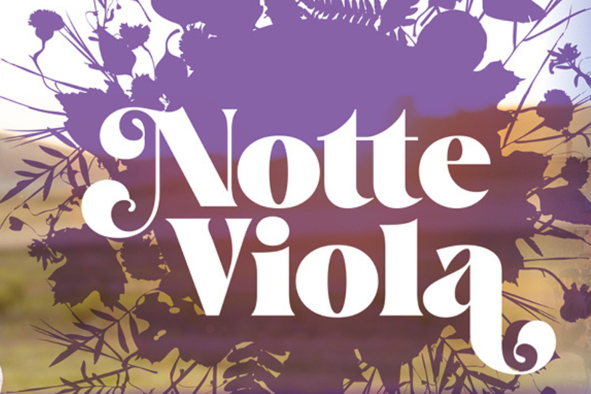 Notte Viola