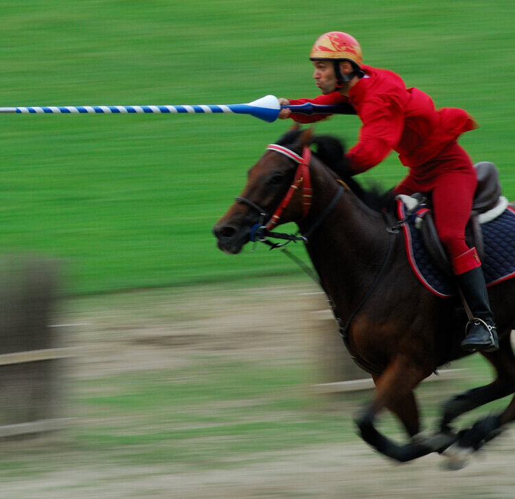 Niballo - Palio di Faenza