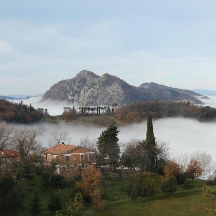 Anello Del Carnè