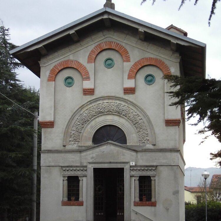 Petali della Ginestra | Monte Ghebbio