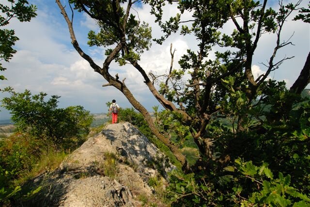 Petali della Ginestra | Monte Mauro - trekking