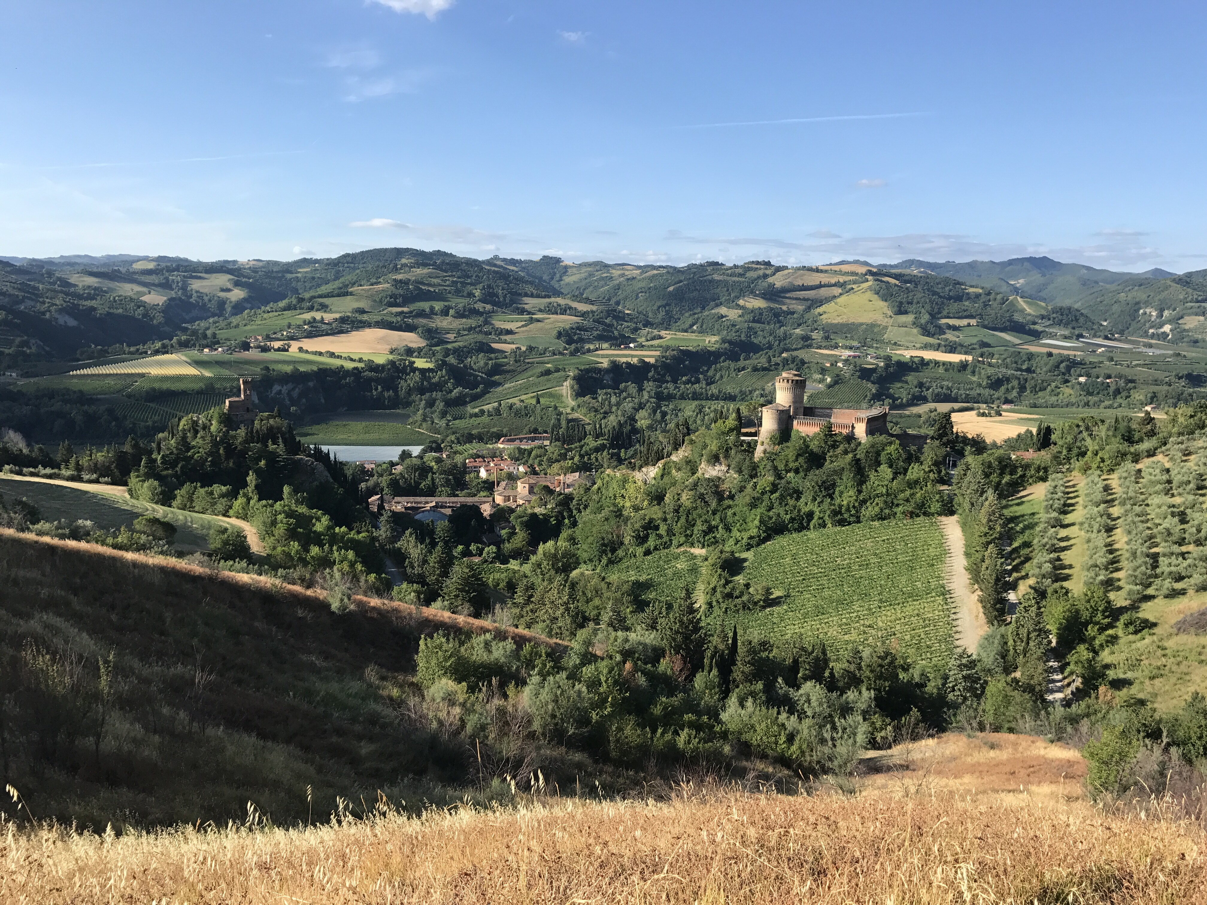 Ulivi E Vigneti Foto Laghi Daniela