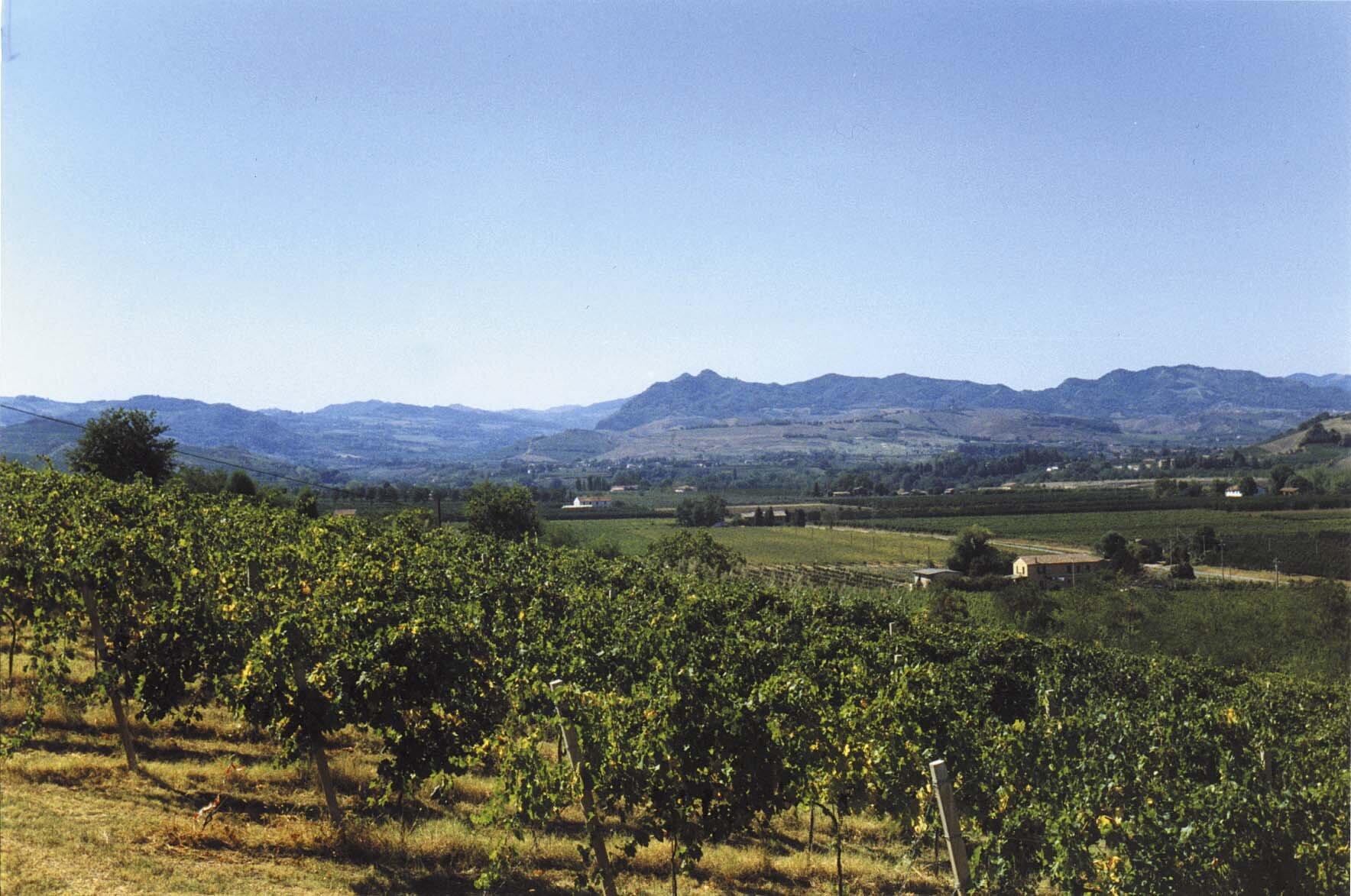 Sottozone del Sangiovese