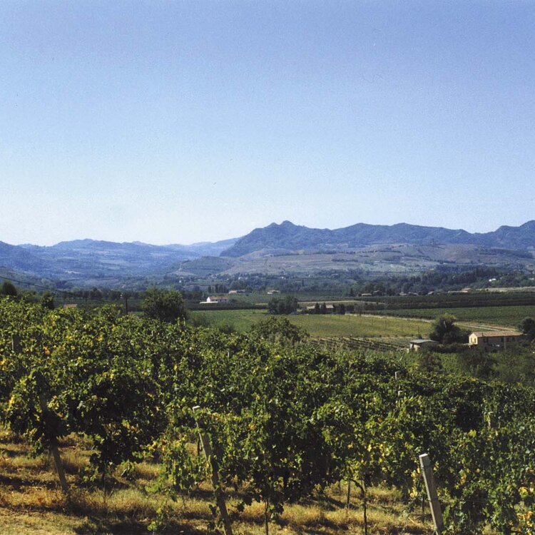 Sottozone del Sangiovese
