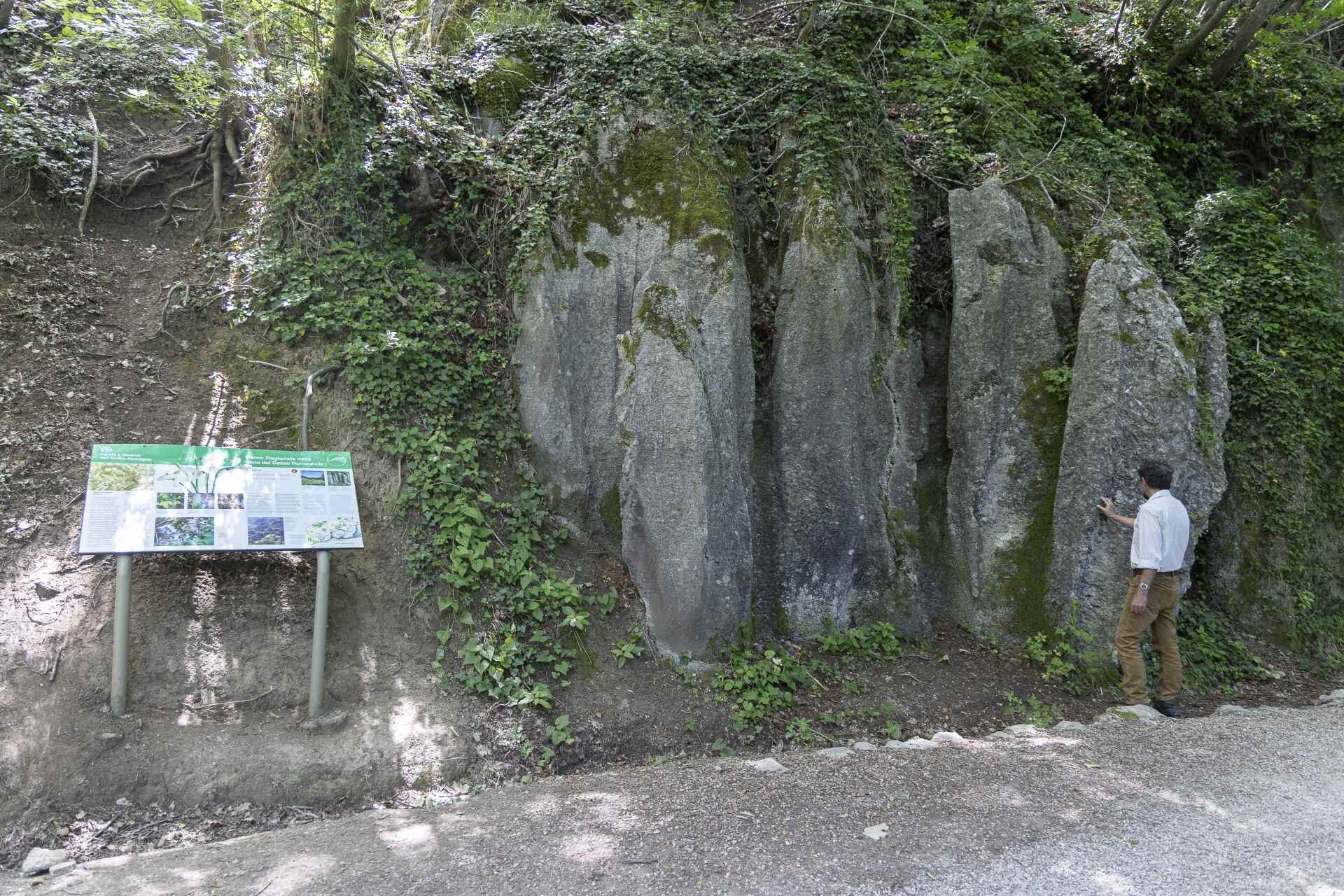 Viadelgesso Parcocarne 26