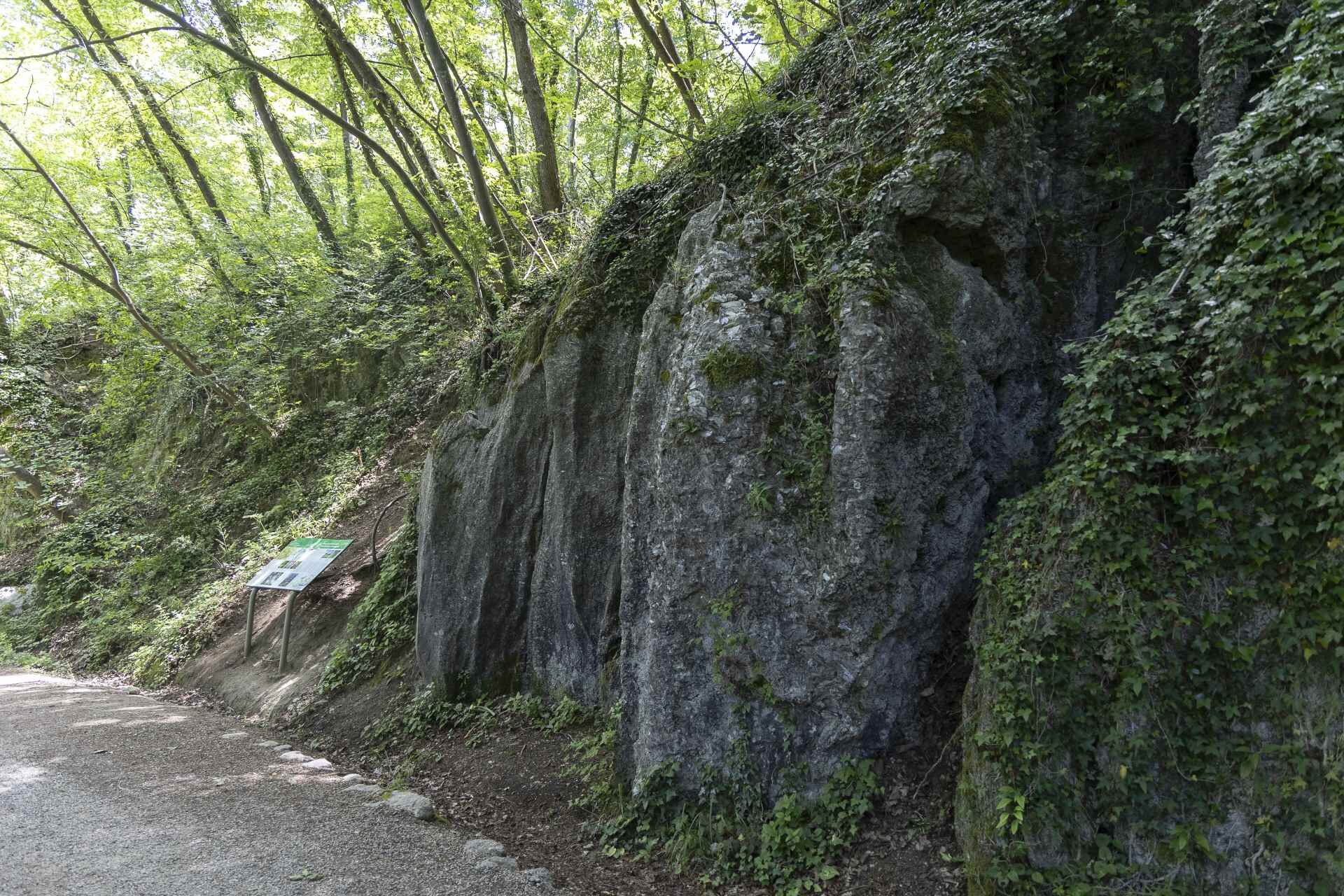 Viadelgesso Parcocarne 27