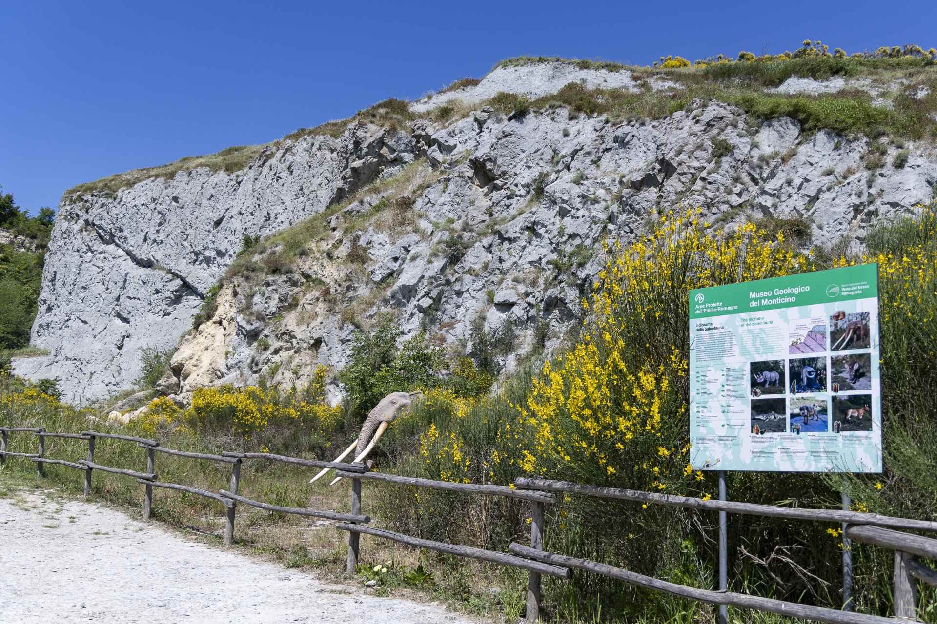 Viadelgesso Parcocarne 5