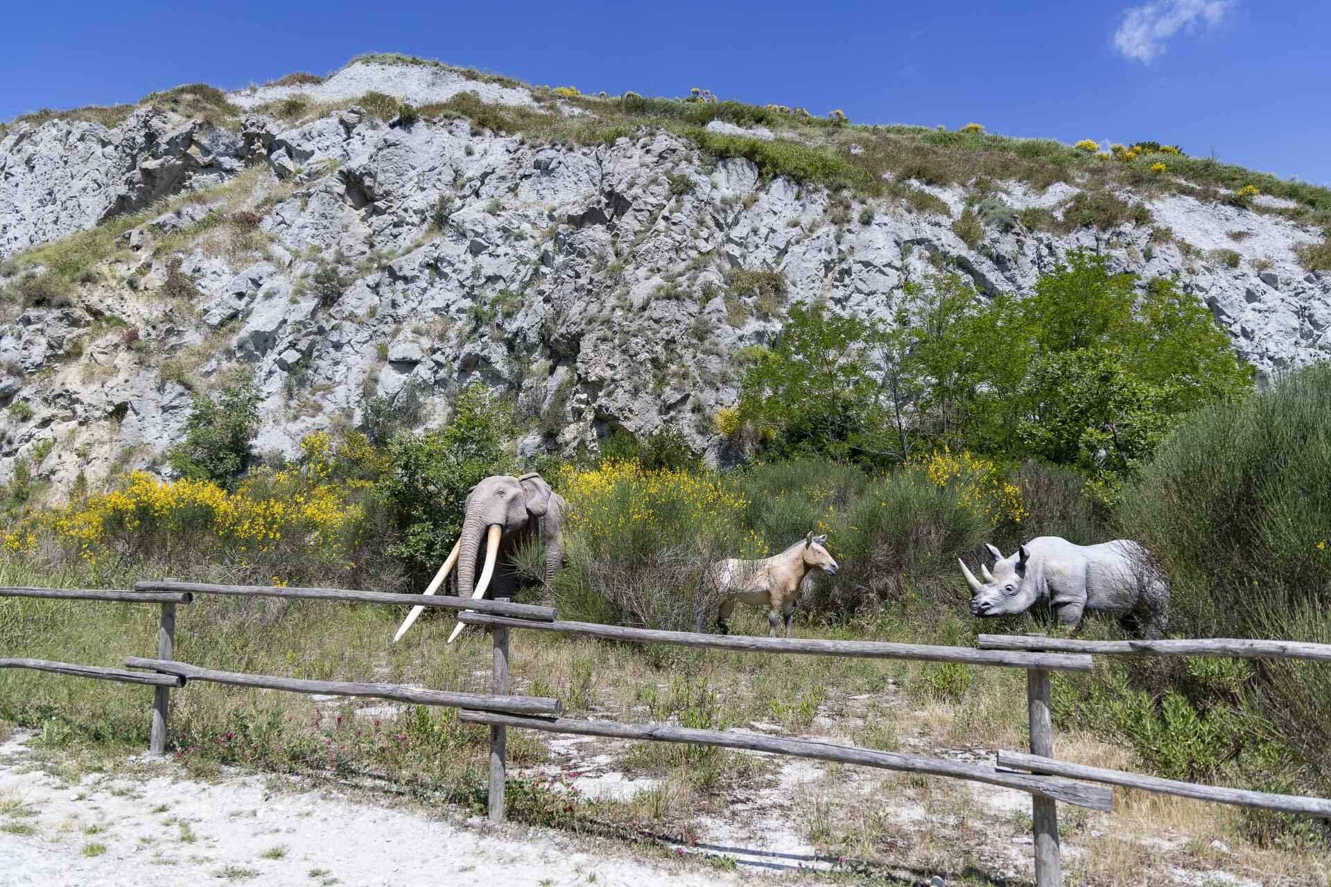 Viadelgesso Parcocarne 7