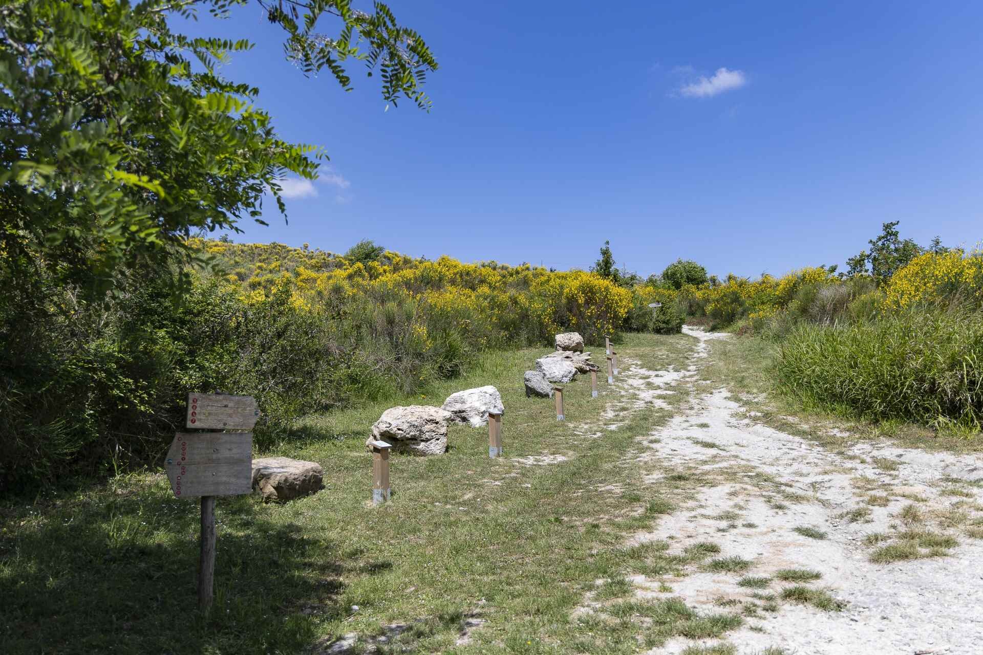  Parco regionale della Vena del Gesso