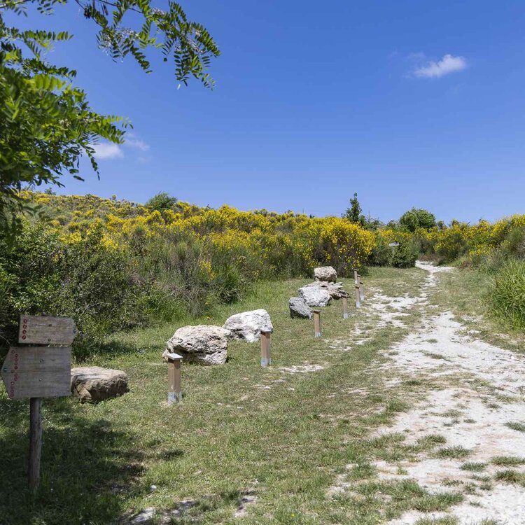 Parco regionale della Vena del Gesso Parco regionale della Vena del Gesso