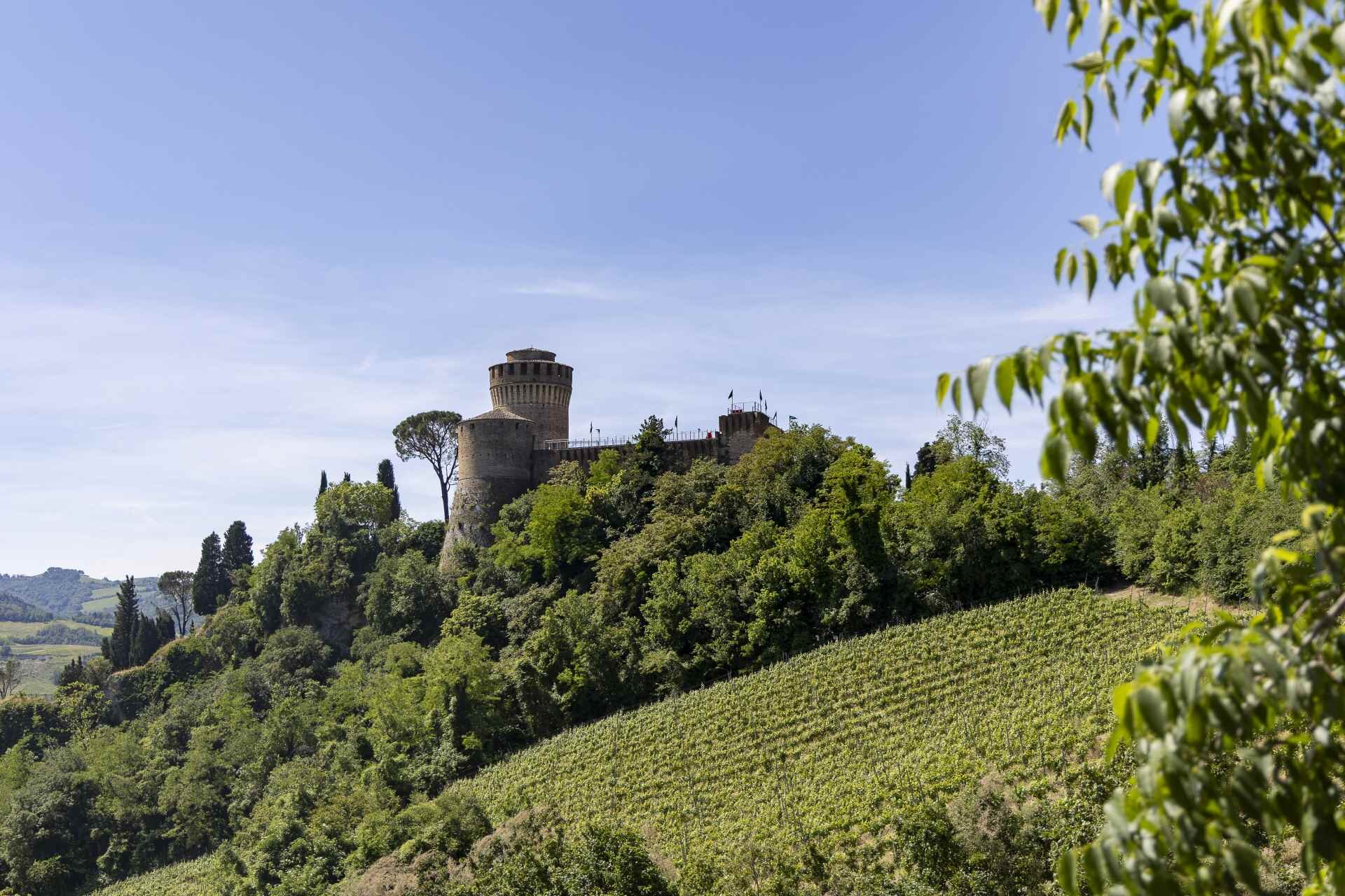 Rocca Manfrediana