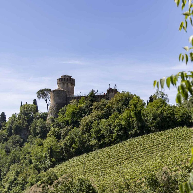 Rocca Manfrediana