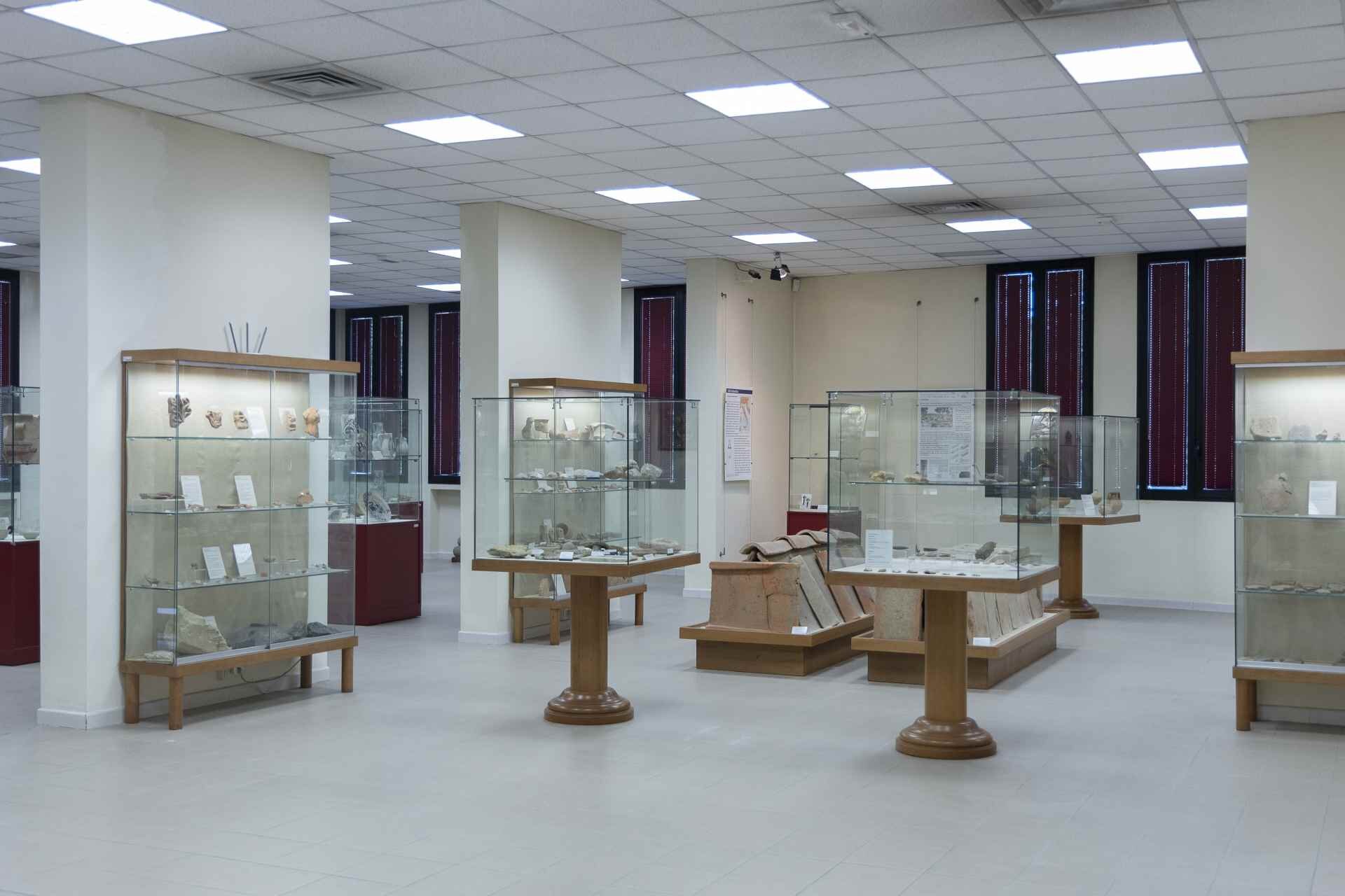 Museocivicocastelbolognese4