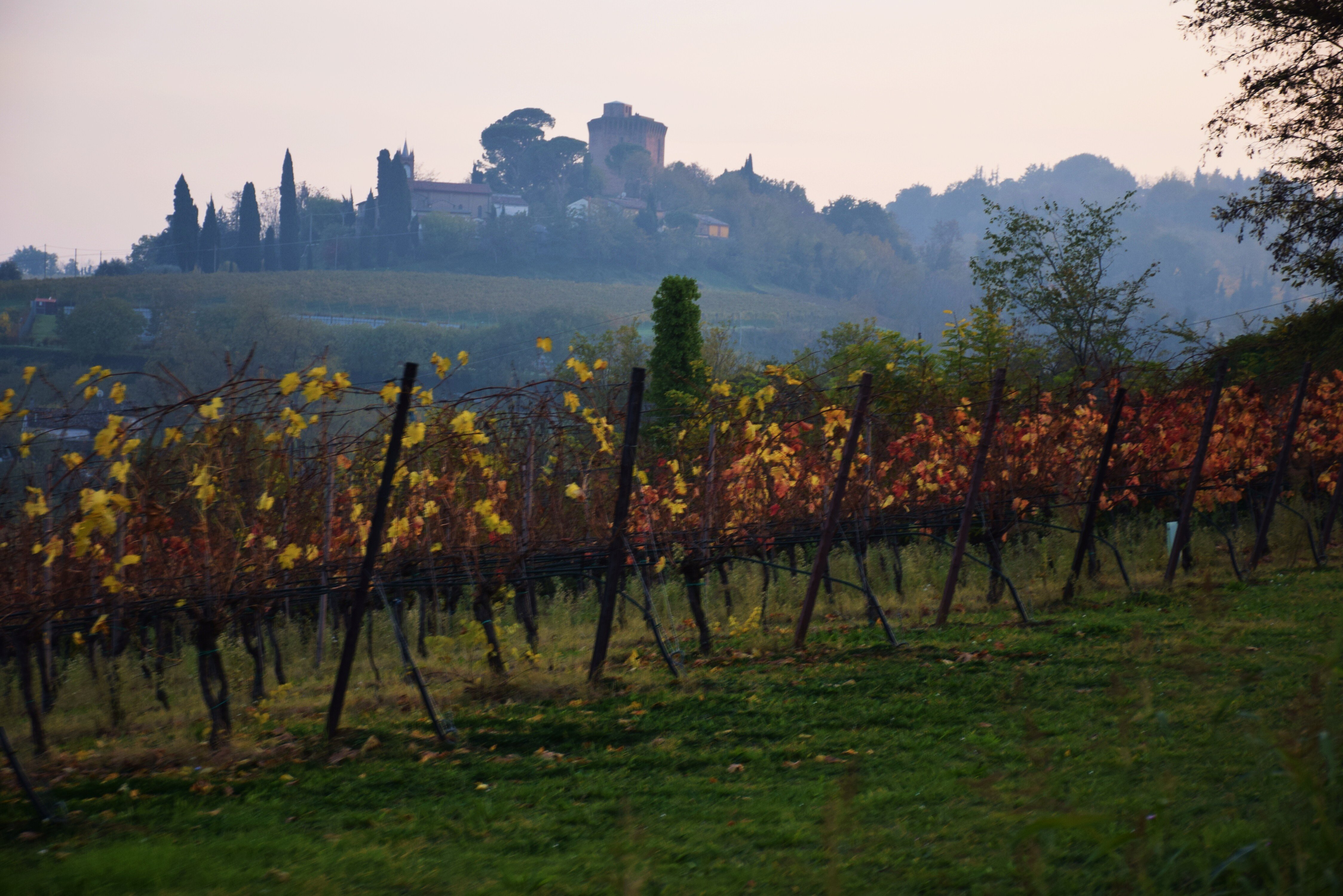 Faenza Torre Oriolo Dei Fichi Ph Archivio Urf