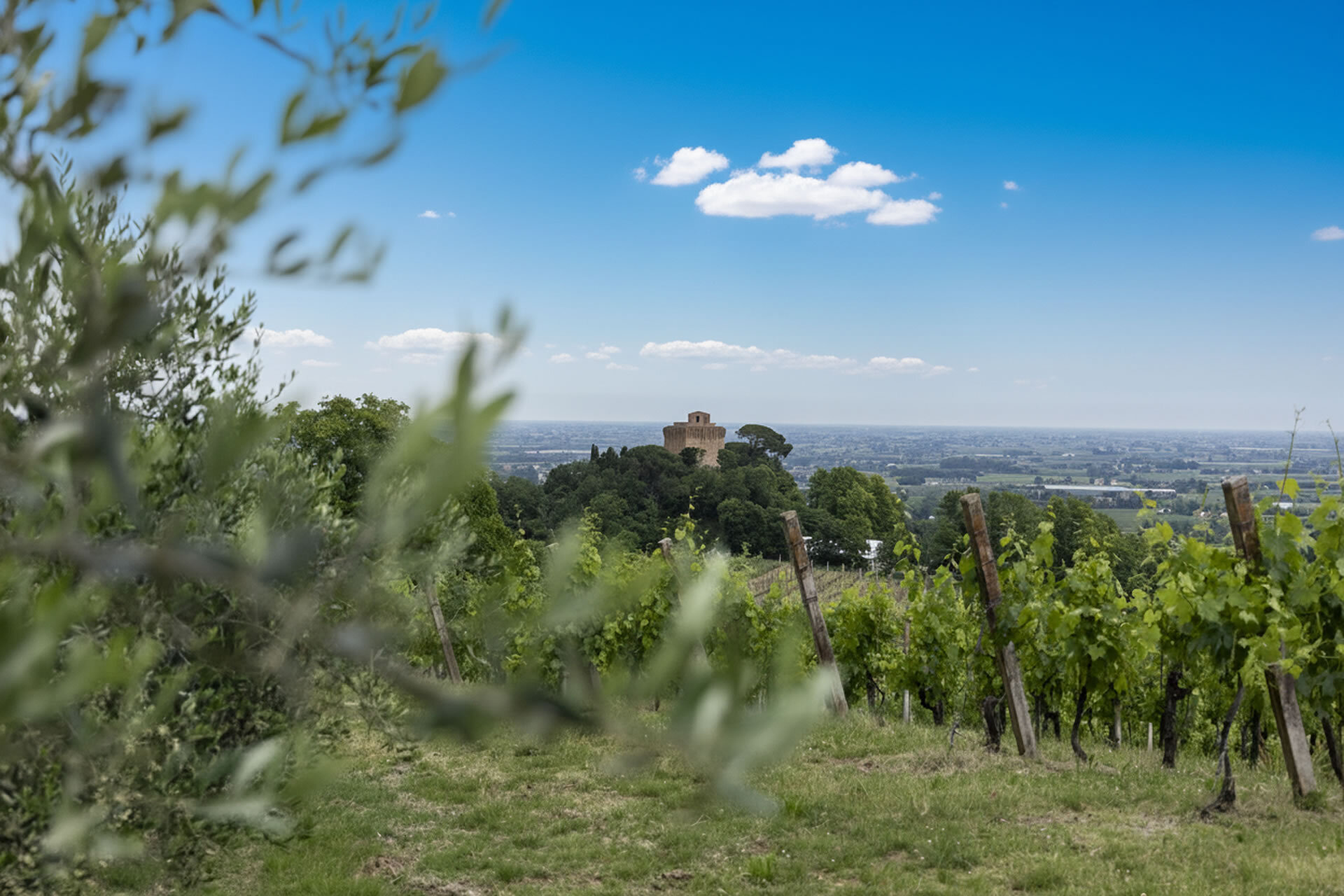 Torre di Oriolo dei Fichi
