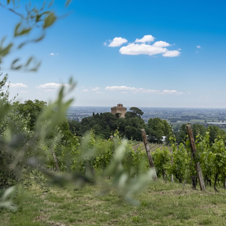 Torre di Oriolo dei Fichi