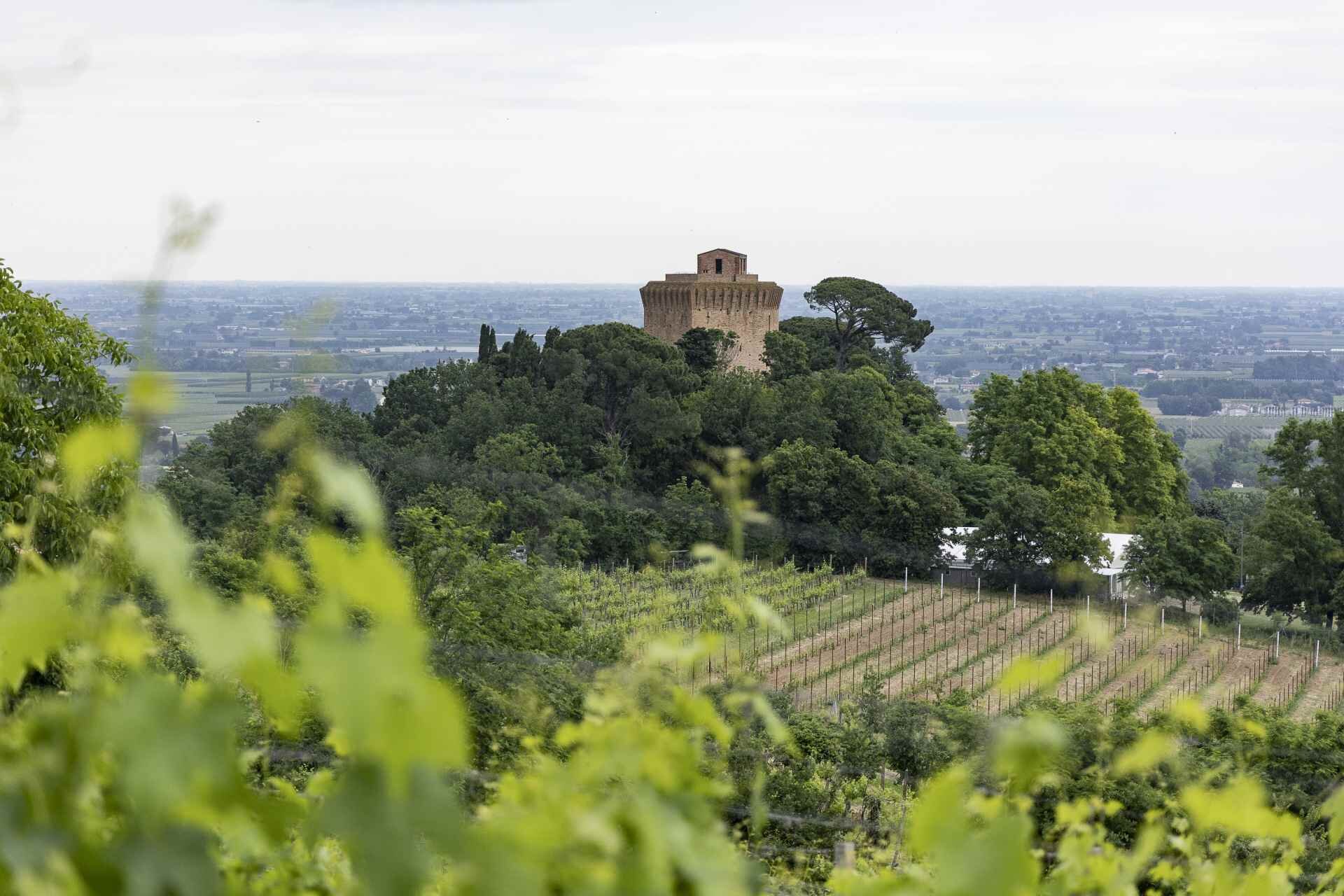 Torre di Oriolo dei Fichi