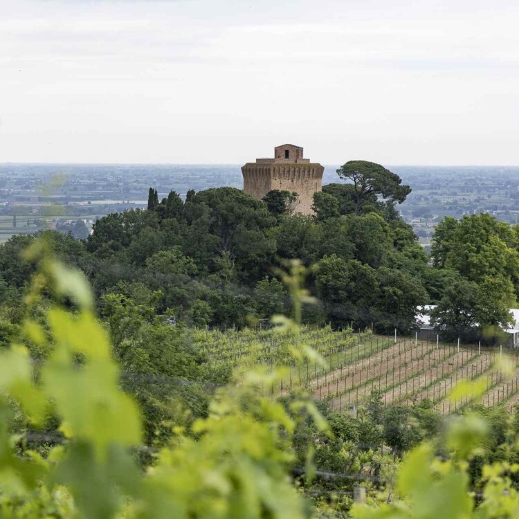 Torre di Oriolo dei Fichi