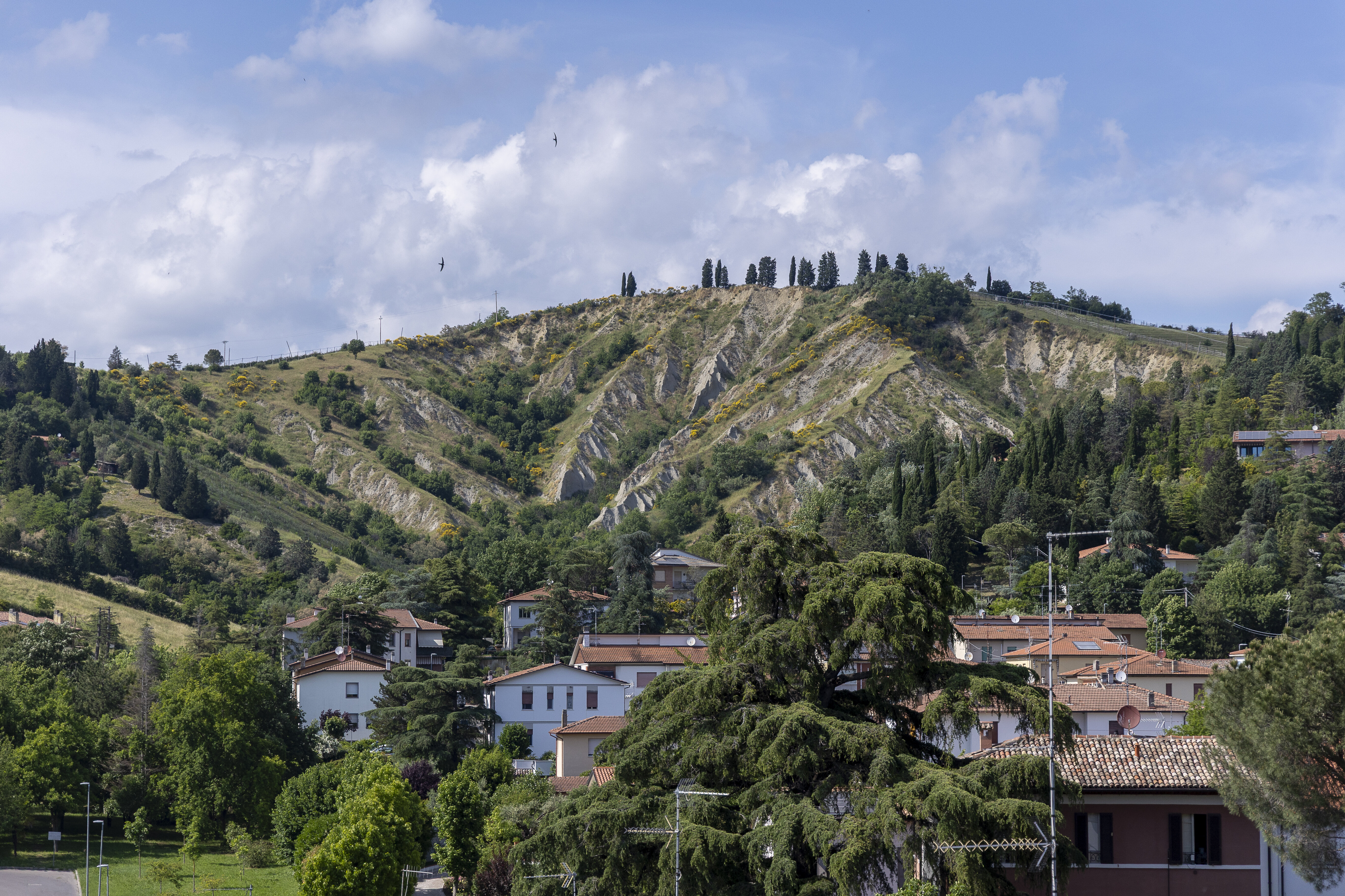 Roccadiriolo 20