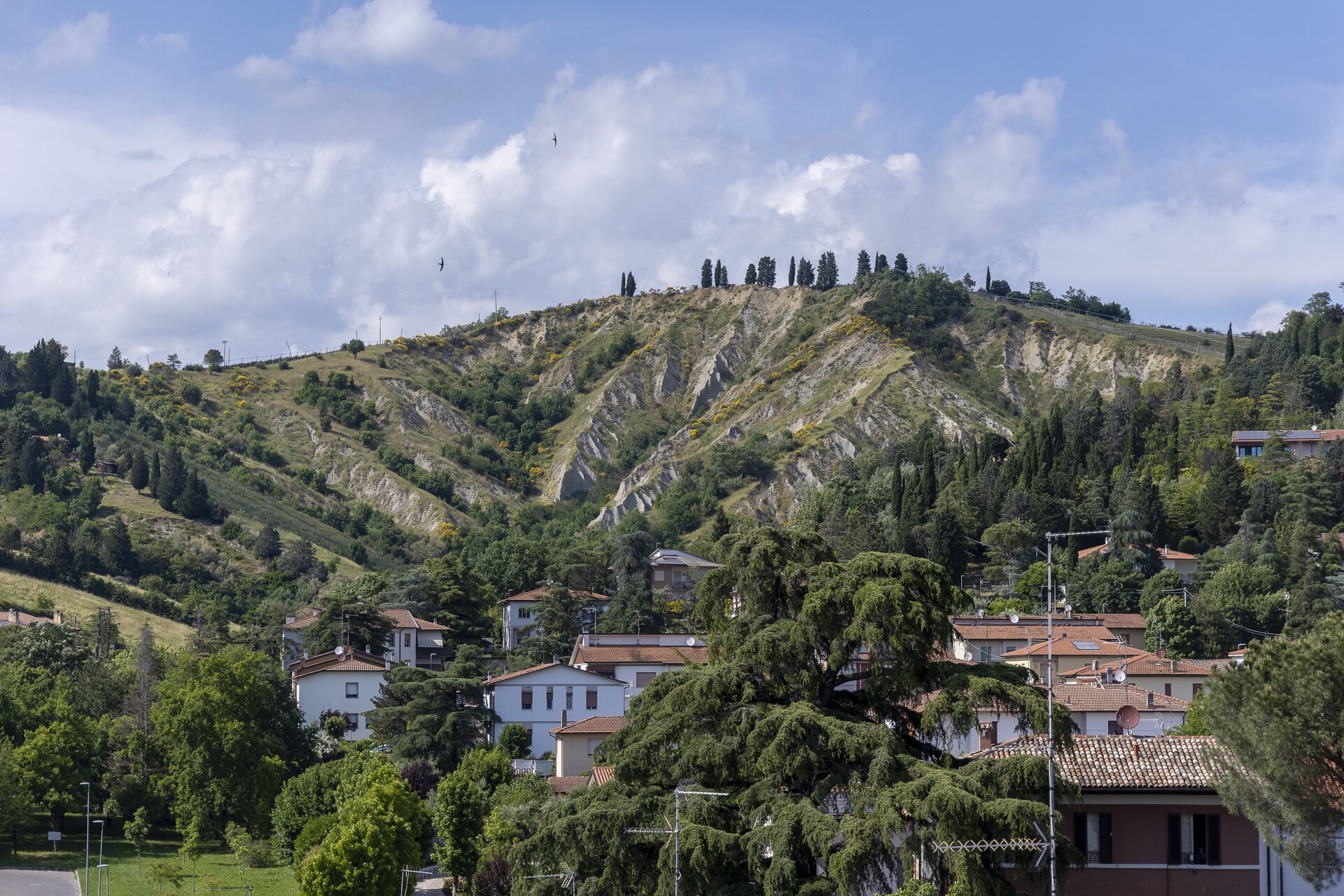 Roccadiriolo 20