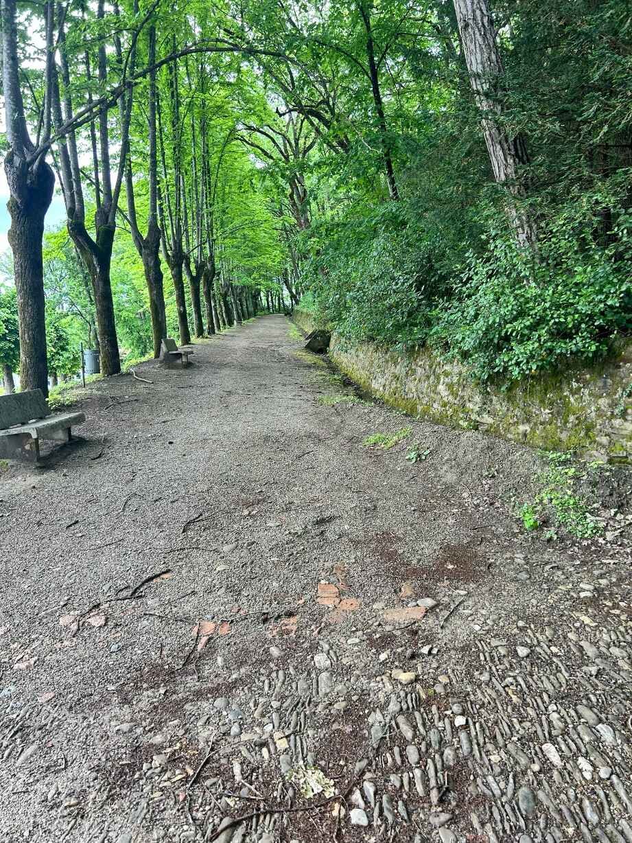 Camminata Celeste