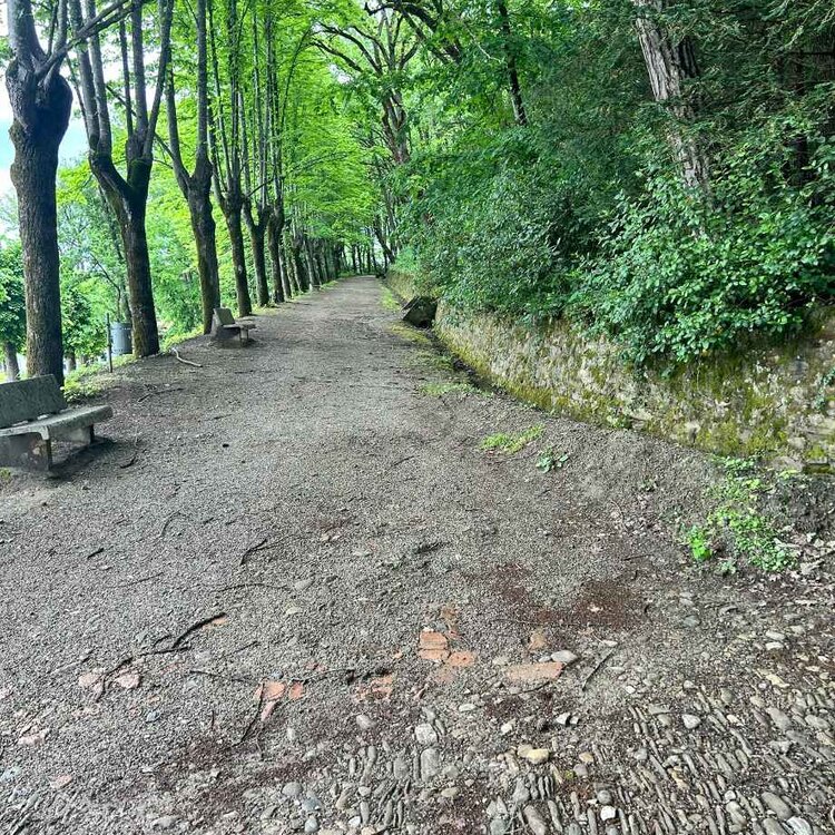 Camminata Celeste